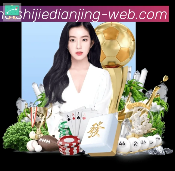 登录器